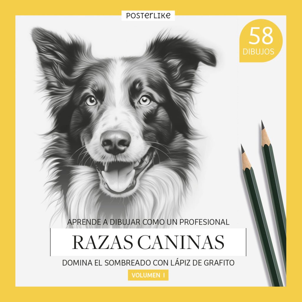 Libro para aprender a dibujar razas caninas mediante lápiz de grafito. Volumen I