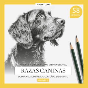 Libro para aprender a dibujar razas caninas mediante lápiz de grafito. Volumen II