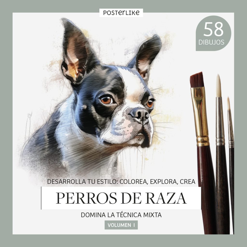 Libro para aprender a dibujar razas caninas mediante técnica mixta Volumen I