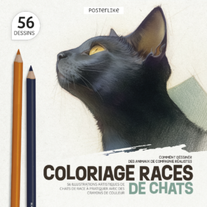 Portada del libro Gatos de Raza a Color de la serie Dibuja Mascotas como un Pro.